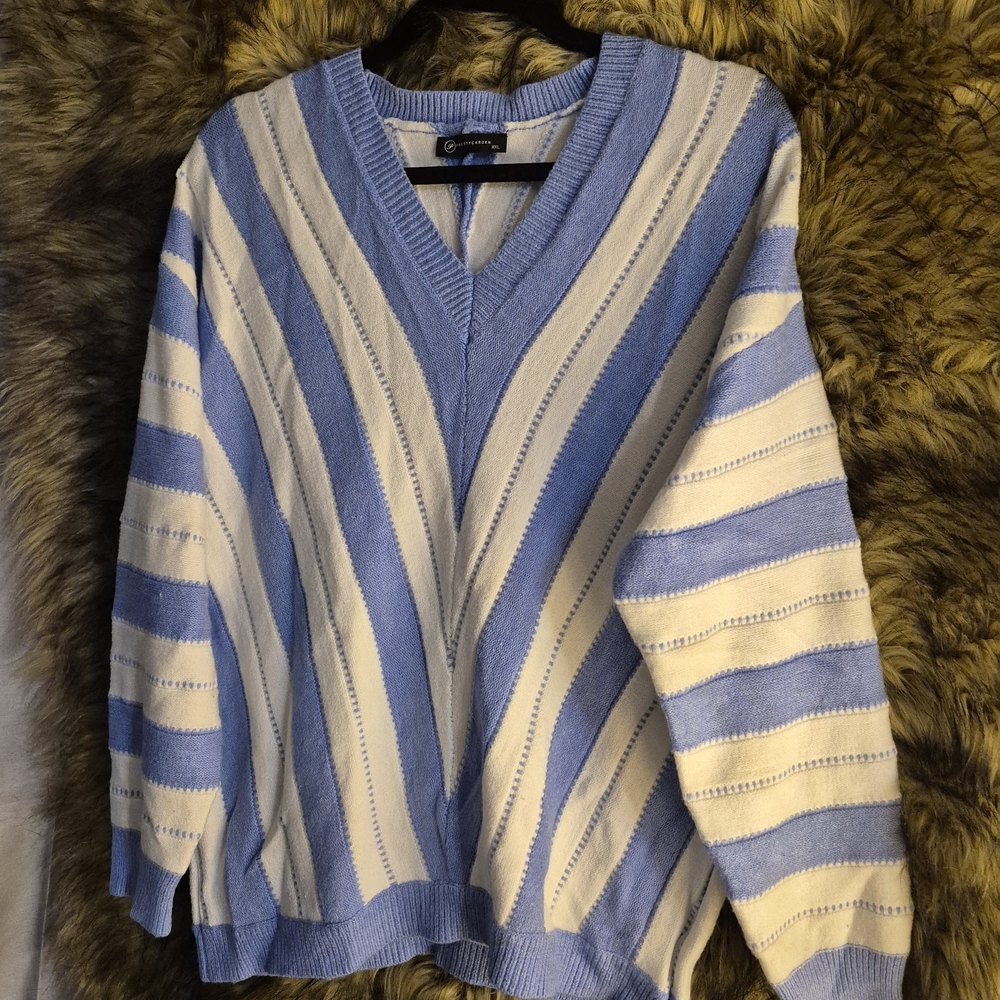 Striped V-Neck Sweater in Blue and White